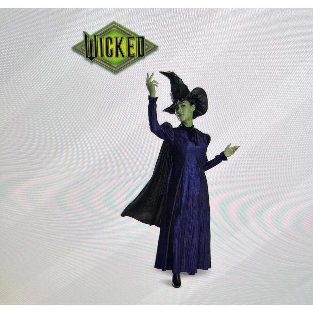 Disguise Women’s S (4-6) Elphaba Wicked Deluxe Adult Costume Set For Good Movie